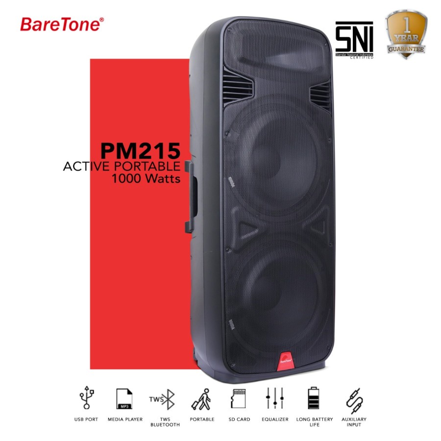 Speaker Portable Baretone PM215 aktiv 15 Inch karaoke bluetooth 1000 watt