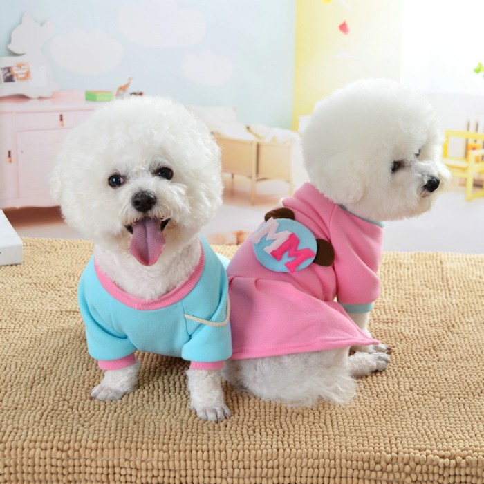 Baju Couple Super Cute Untuk Anjing Dan Kucing