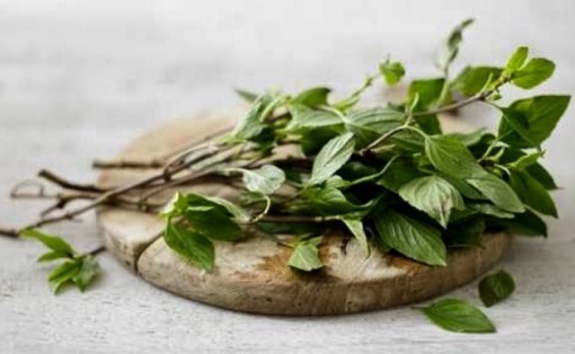 Basil kering Dried Leaves Daun Kemangi Repack 20 Gram