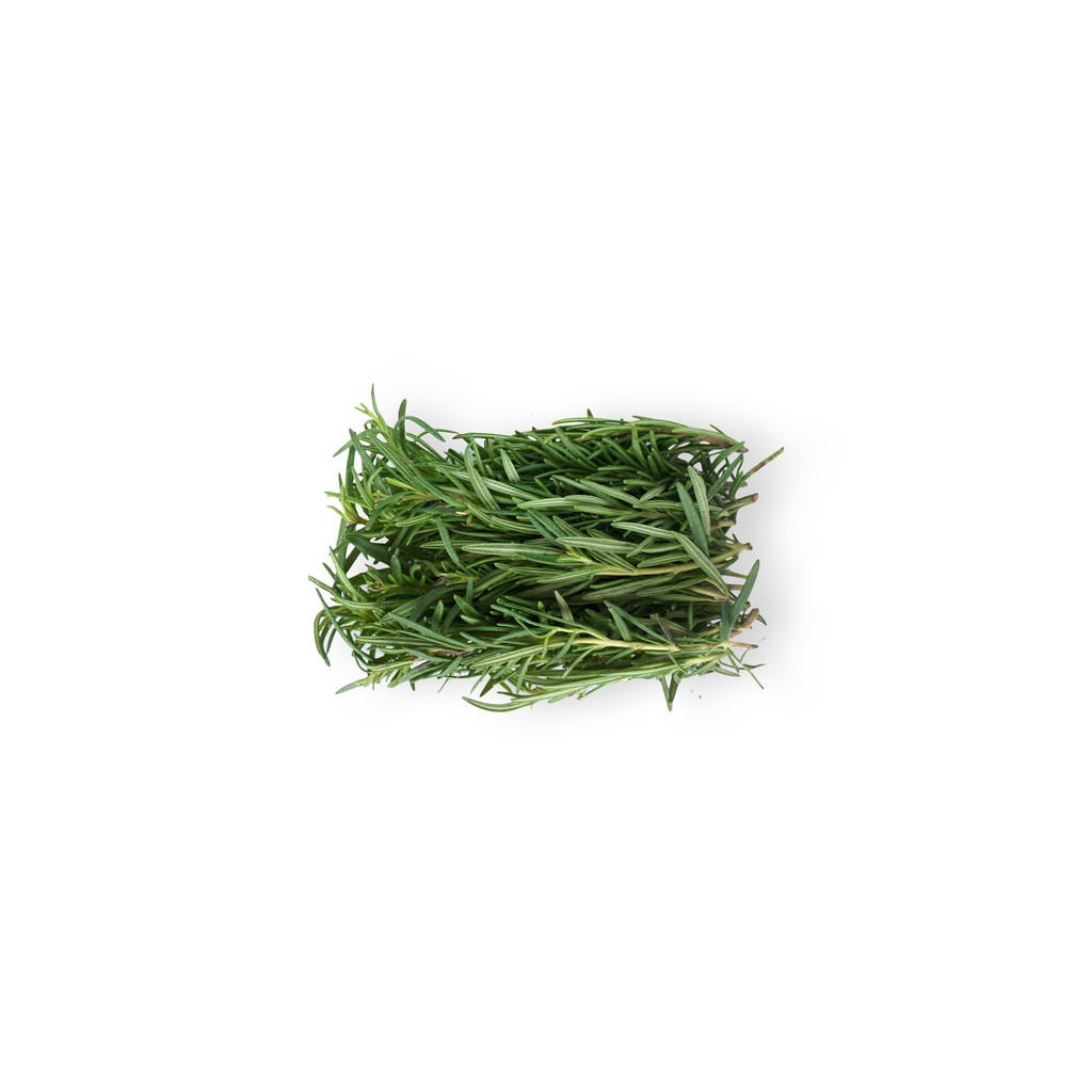 

SAYUR ORGANIK Rosemary