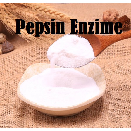 Enzim pepsin kemasan 100g / ENZIME PEPSIN