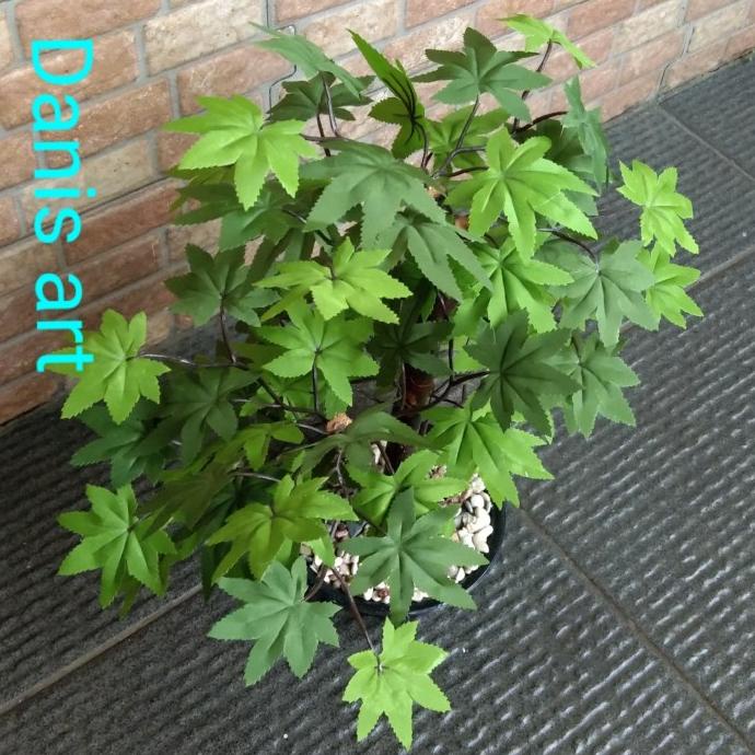 Pohon maple/ Bonsai pendek/ pohon palsu/ bonsai plastik