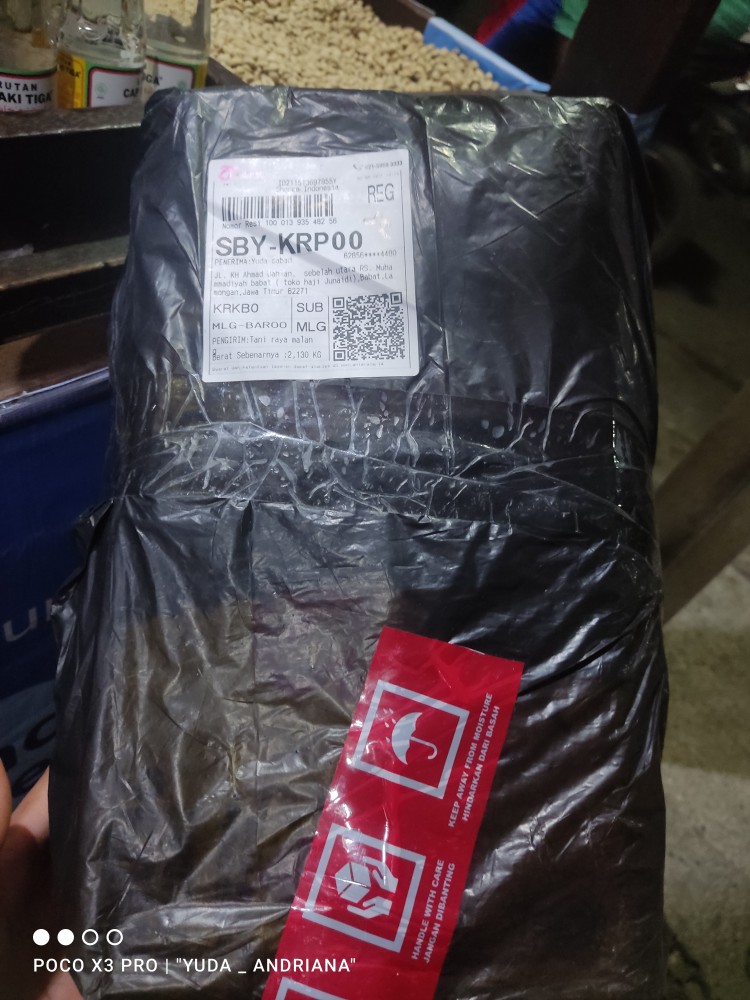 Petrokum 100 Gr Racun Tikus Mati Kering Tidak Bau