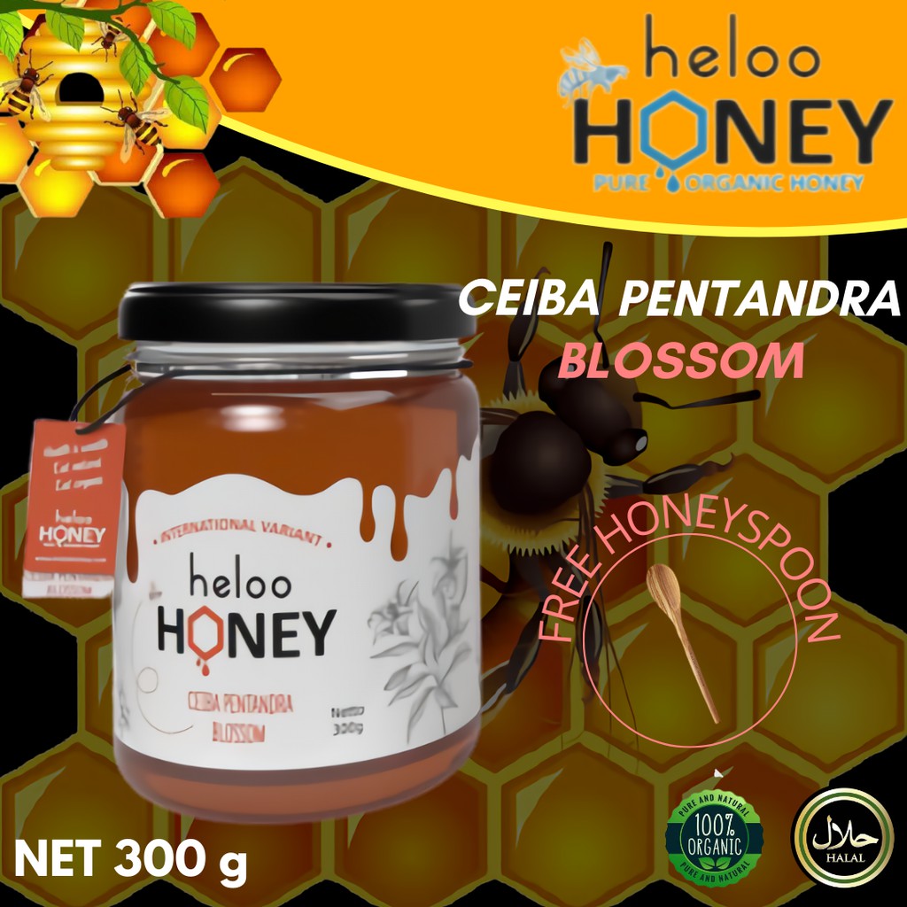 

Madu Asli 100% murni madu hutan minuman madu Tava 300g Ceiba Pentandra Pure Raw Honey [HHC01]