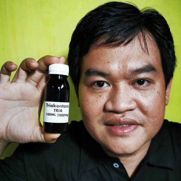 Hormon Tanaman Triakontanol 100ml Aktivator Hormon Tanaman