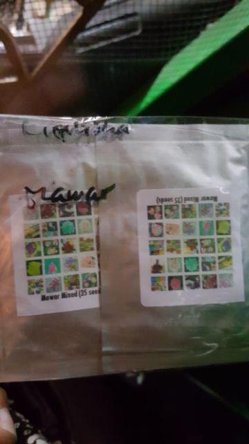 (36 Seeds) Biji Benih Bunga Mawar 36 Varieties Of Roses Mixed