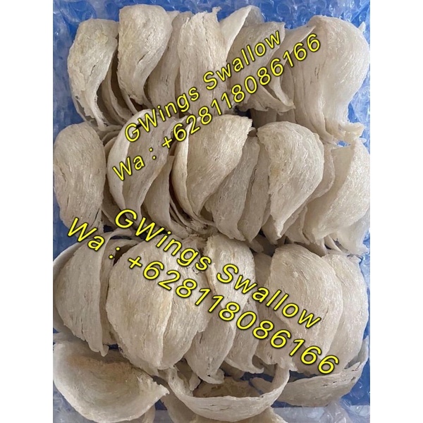 SARANG WALET MANGKOK 2-4 JARI ALAMI TANPA OBAT 1kg