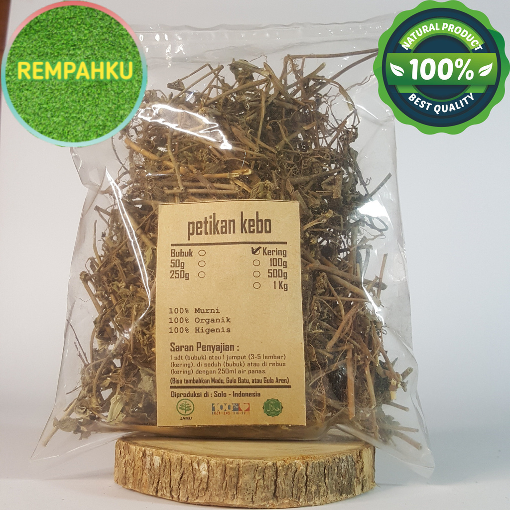 

PETIKAN KEBO KERING 100 GRAM - Euphorbia Hirta - MURNI - JSR - R