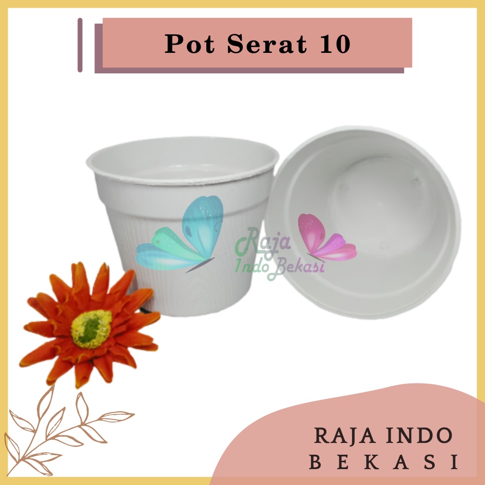 Pot Es Krim 10cm Putih Tanpa Lubang Bawah Pot Bunga 10 Cm Pot Mini Minimalis Kaktus Plastik Lucu Murah