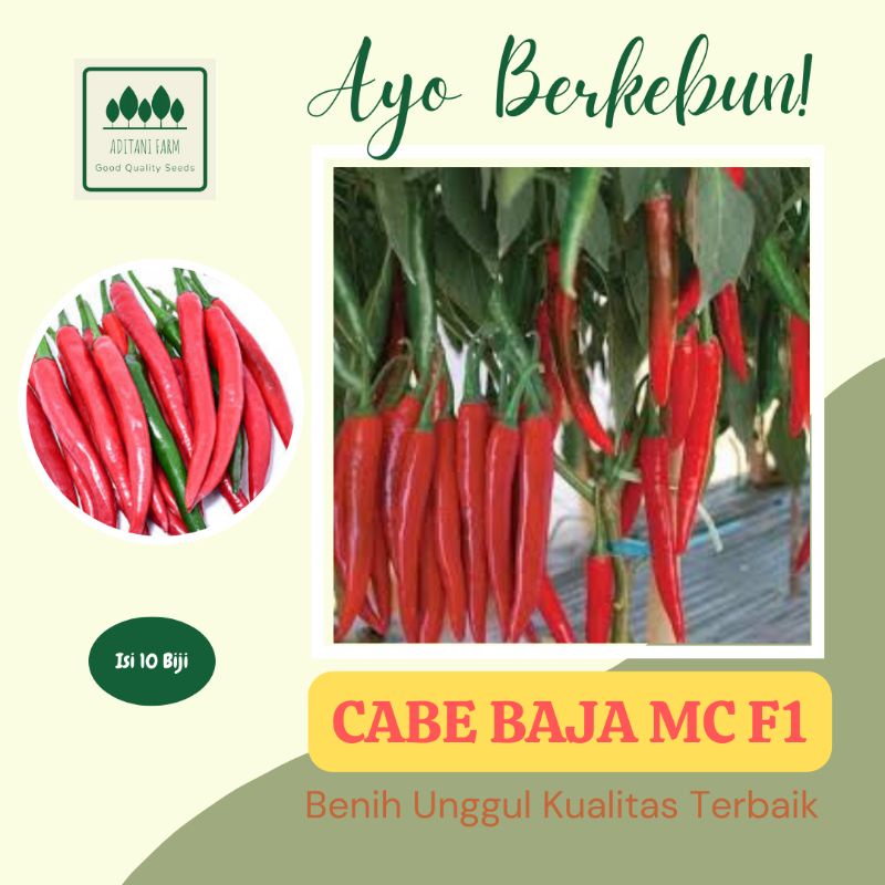 10 Biji | Benih Cabe Besar BAJA MC F1 | Cabe Merah Besar Repack Cap Panah Merah