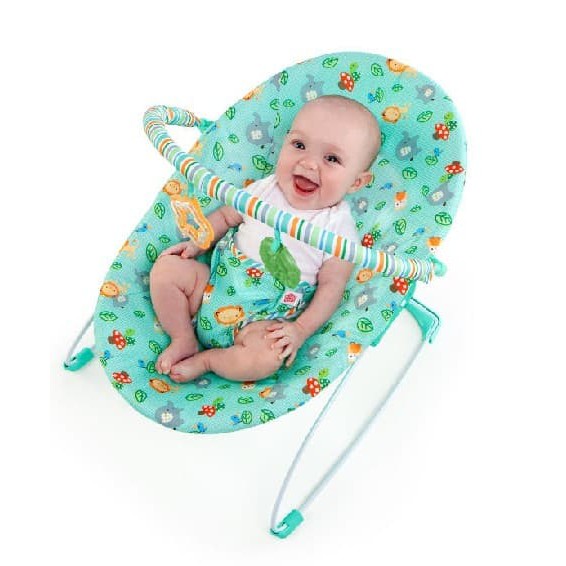 jolly baby bouncer