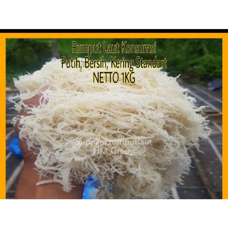 Rumput Laut Kering, 1kg Rumput Laut ES, Rumput Laut Putih, Rumput Laut SPinosum