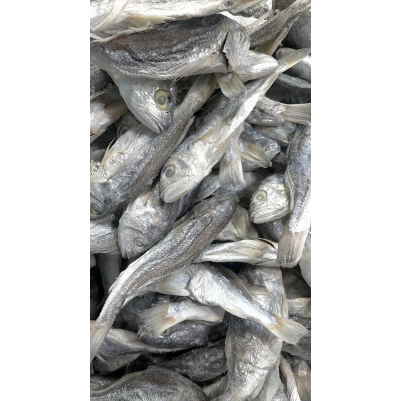 

Ikan Asin kepala Batu