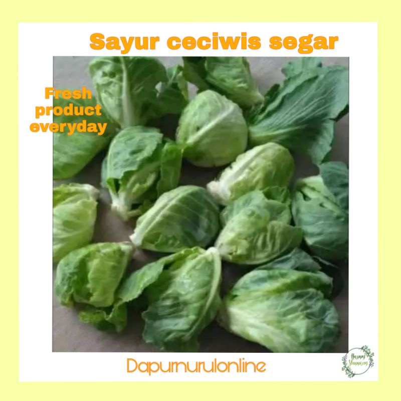 

Cuciwis/Cameo 250 gr - 1 kg