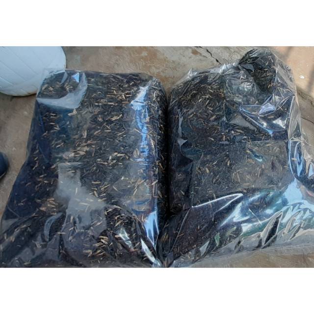 Sekam bakar 1 kg / sekam padi arang bakar