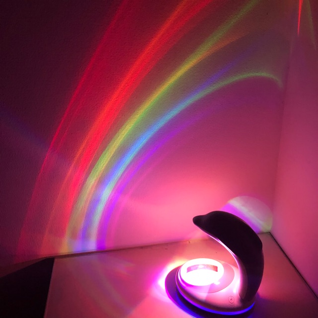 dolphin rainbow / rainbow lamp / lampu pelangi / lampu rainbow
