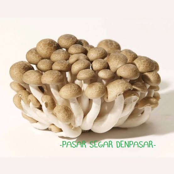 

BROWN SHIMEJI MUSHROOM / SHIMEJI COKLAT 100GR