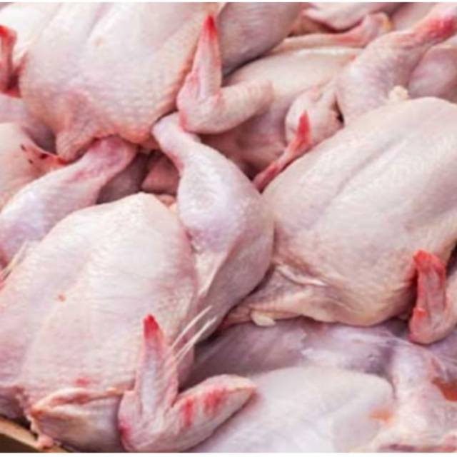 

Ayam potong fresh dan halal