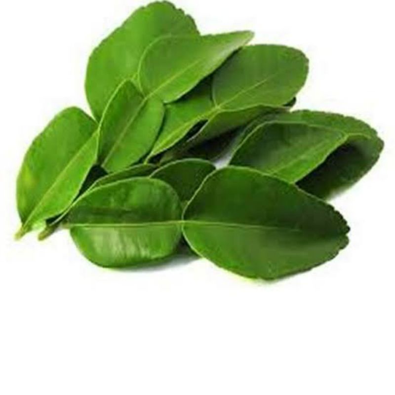 

Daun Jeruk Bumbu Masak