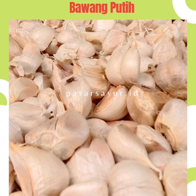 

Bawang Putih | Bawang Putih Kating | Grosir Bawang | Bawang 250 Gram