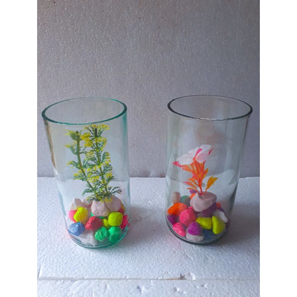 BOTOL KACA TEMPAT PELIHARA IKAN CUPANG CANTIK AQUARIUM MINI +HIASAN IKAN CUPANG