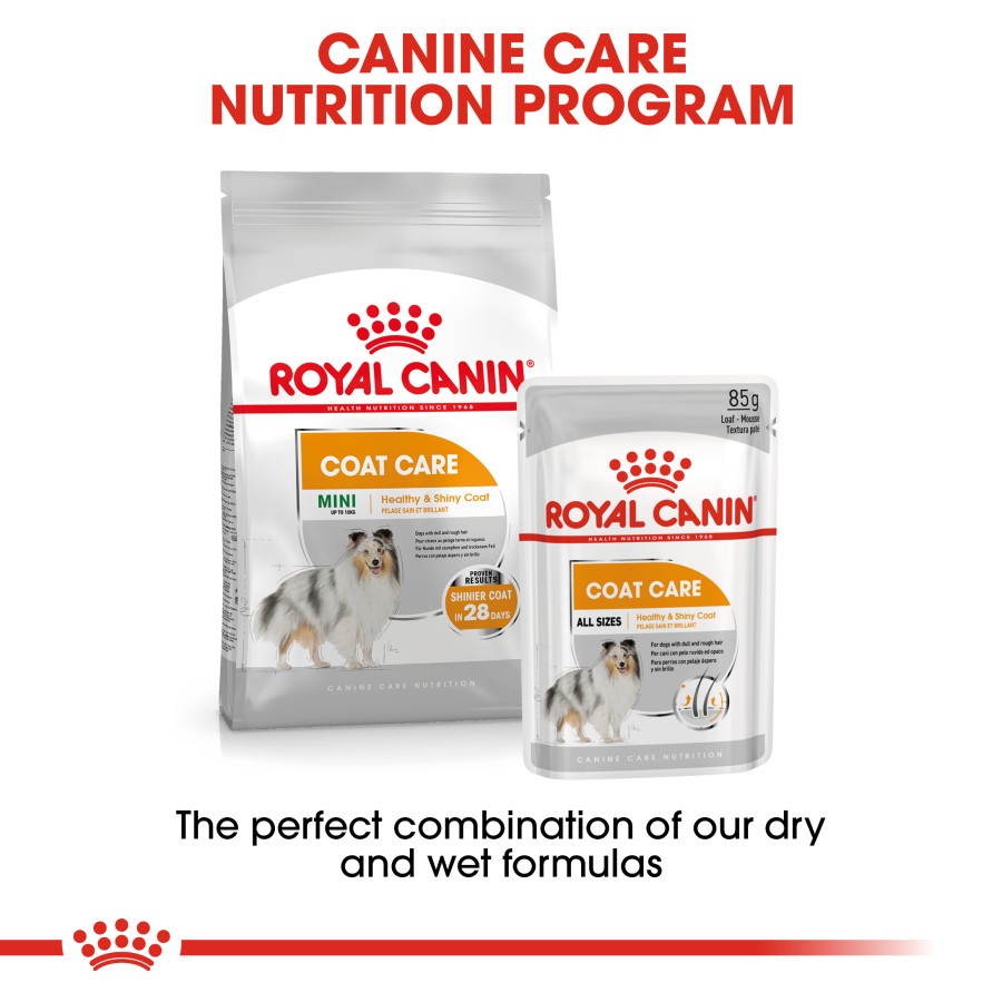 Royal Canin Coat Care Loaf 85 gr Hair &amp; Skin Dog Makanan Basah Anjing