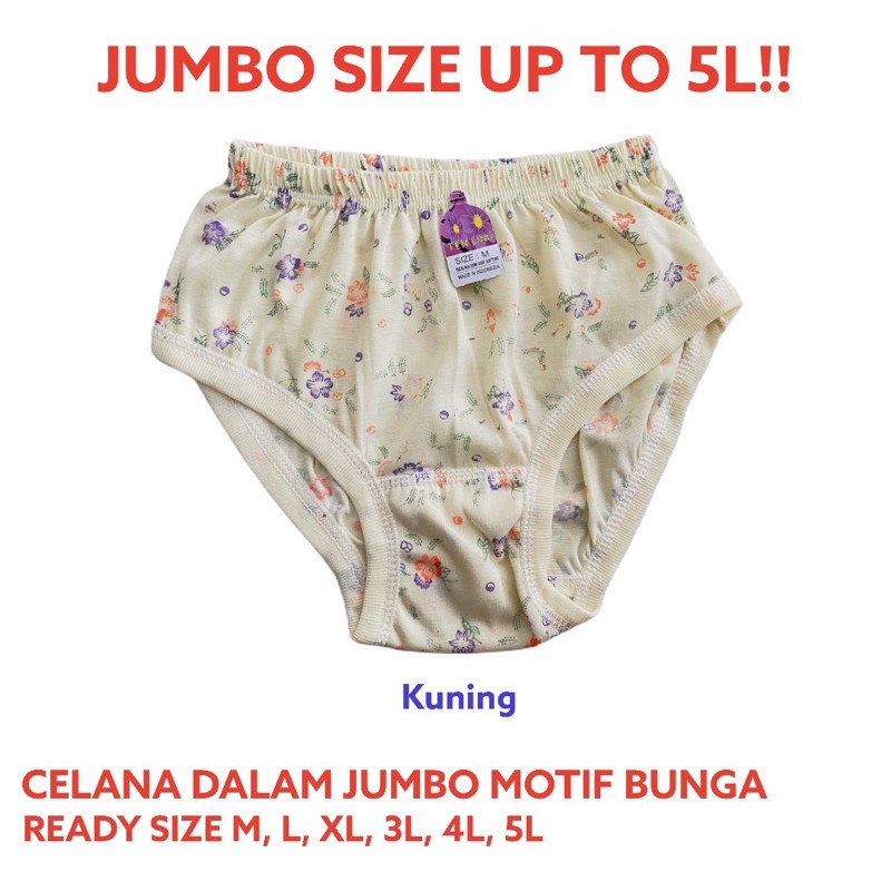 CD Celana Dalam Wanita Jumbo Bigsize Katun Adem Kancut Wanita Sempak Wanita Cawet Celana Dalam Ibu Hamil