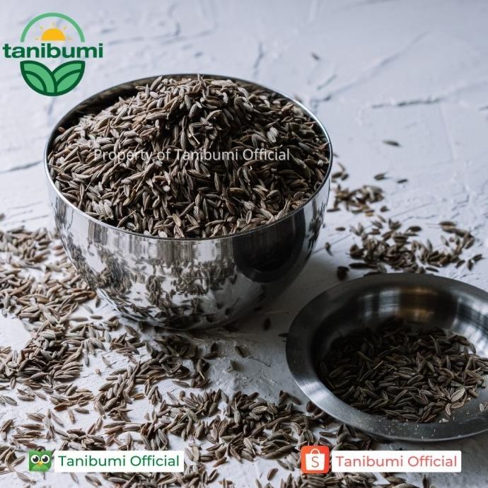 

PROMO Cumin Seed | 1kg | Jintan Putih | Jeera | Biji Jinten Premium MURAH
