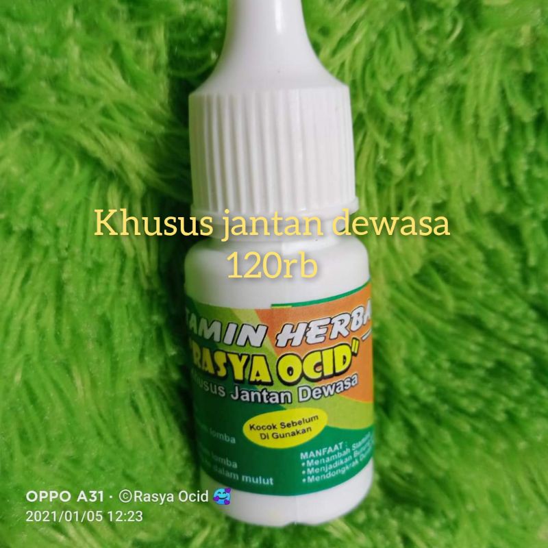 Rasya ocid vitamin jantan dewasa merangsang durasi dan lebih berstamina