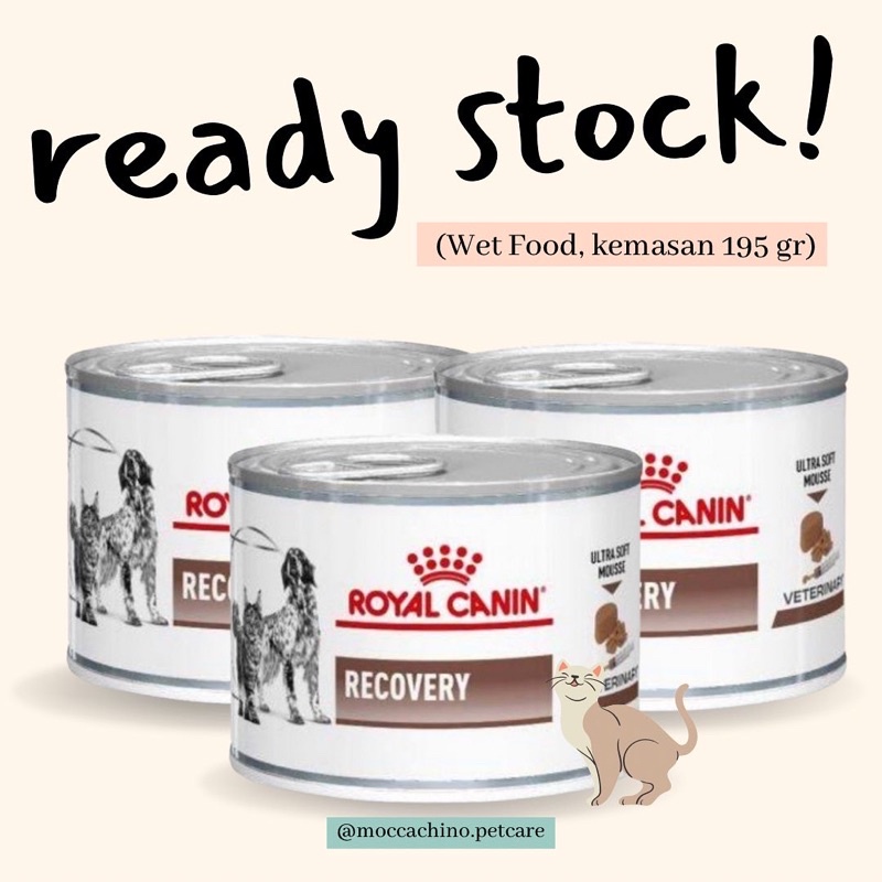 ROYAL CANIN RECOVERY