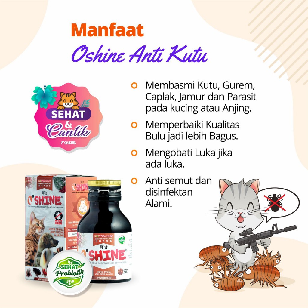 Paket Ektreeem Oshine Nutrisi Kucing Vitamin Kucing Penumbuh