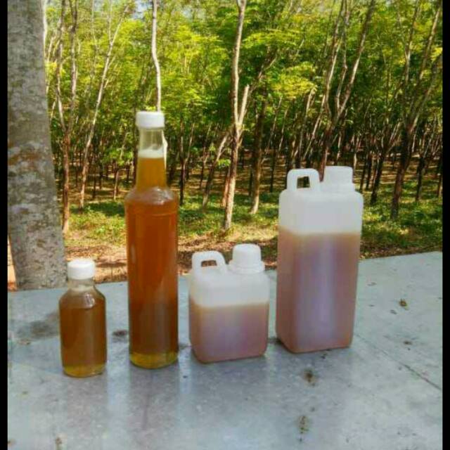 

Madu asli randu kopi sonokeling