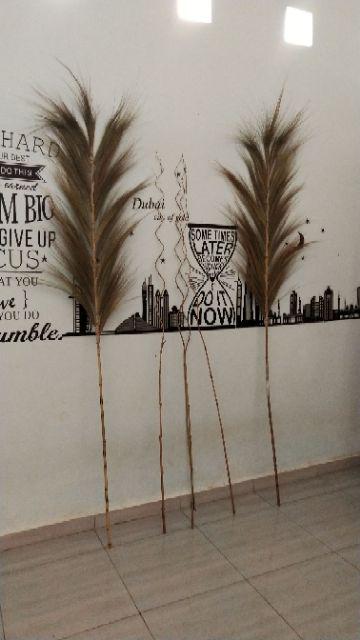 Bunga Kering Bundle Isi 2 /daun Kering /bunga Hias /natural Leaf