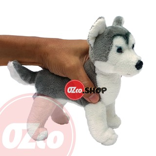 49++ Harga pasaran anak anjing siberian husky new