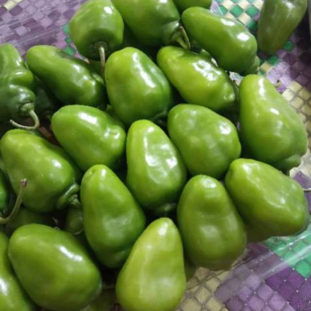 cabe gendot segar 1kg