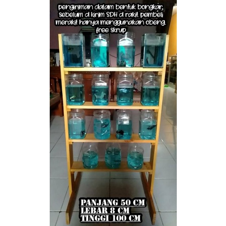 rak ikan cupang / rak ikan cupang susun 4
