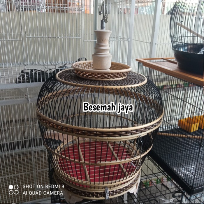 TERLARIS sangkar burung tekukur rotan sangkar tekukur rotan HG00A8