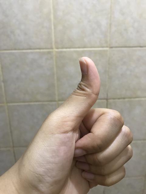 Payung Anak-anak/payung Kuping