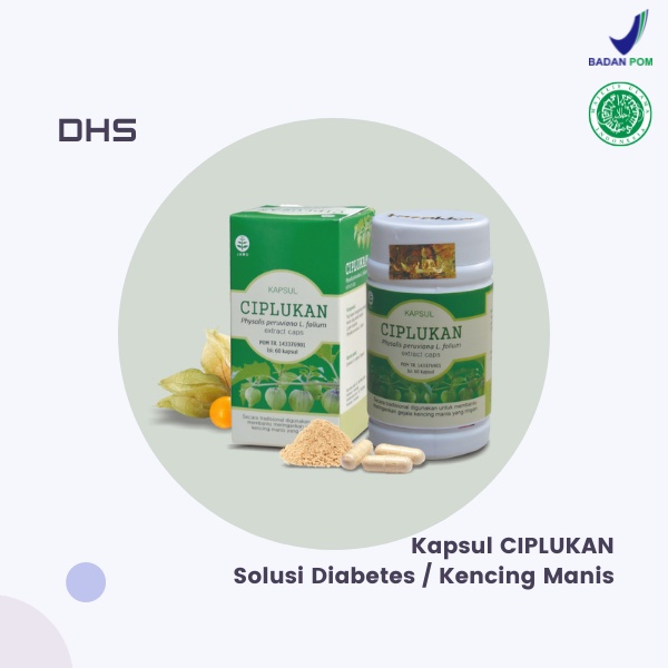 Obat Diabetes Kencing Manis Dan Kesehatan Jantung Alami Herbal Ciplukan