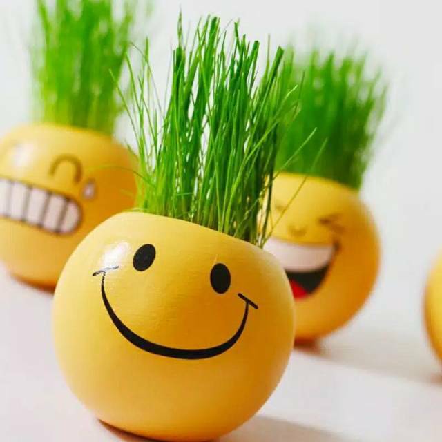 READY STOCK!!Pot Rumput Mini Emoticon/Pot Bunga Mini Plant Kantor Lucu