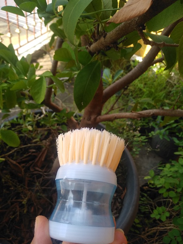 [deashop] Sikat Piring Panci Inovatif Dispenser Sabun Cair Brush Soap Kitchen Multifungsi 2 In 1