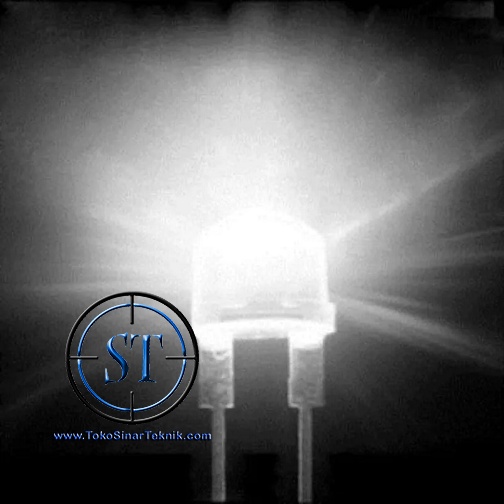 10 PCS LED Putih = Putih 5mm Camping Straw hat White Bulat LAmpu Senter CCTV Dekorasi Terang
