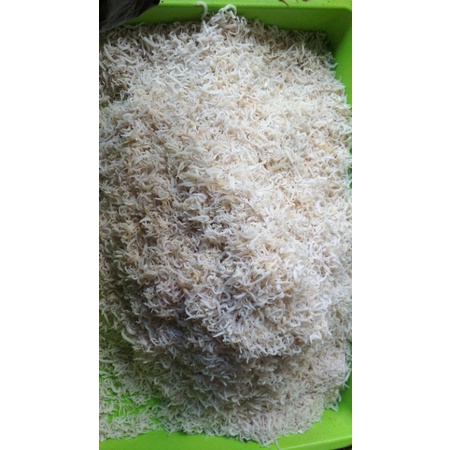 

ikan teri medan