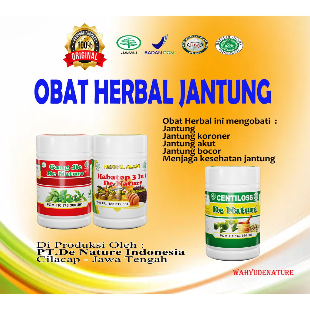 

OBAT HERBAL AMPUH PENYAKIT JANTUNG ASLI DENATURE
