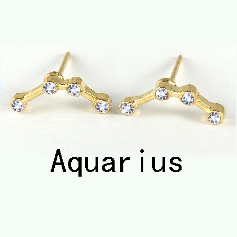 Anting Tusuk Bentuk Botol Minum Motif Zodiak Taurus Warna Goldsilver Untuk Wanita