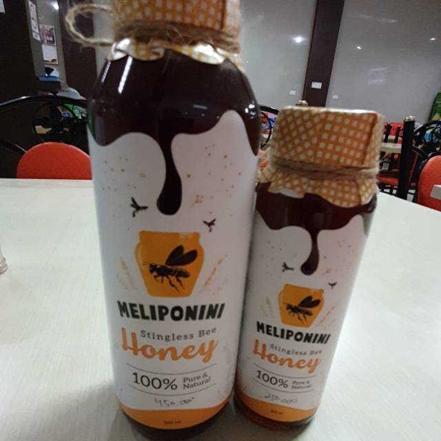 

Meliponini Honey 250 ml