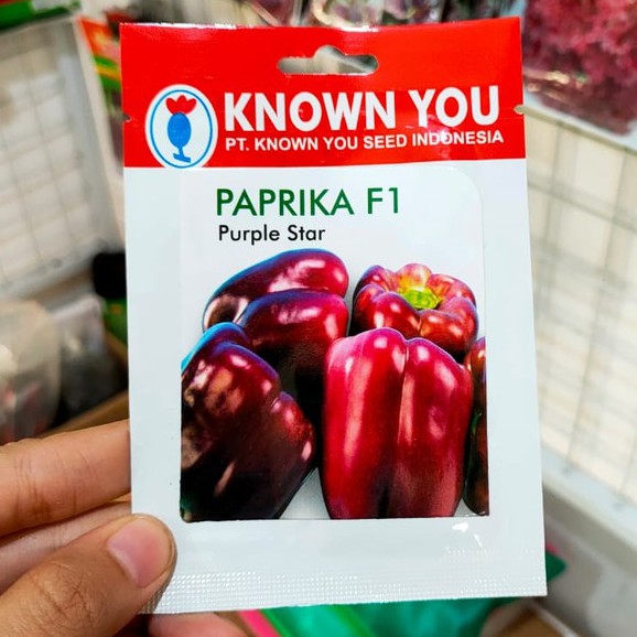 KYS - benih PAPRIKA UNGU PURPLE STAR isi 25 biji - biji paprika - known you seed