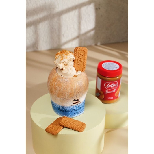 

Lotus Biscoff Gelato