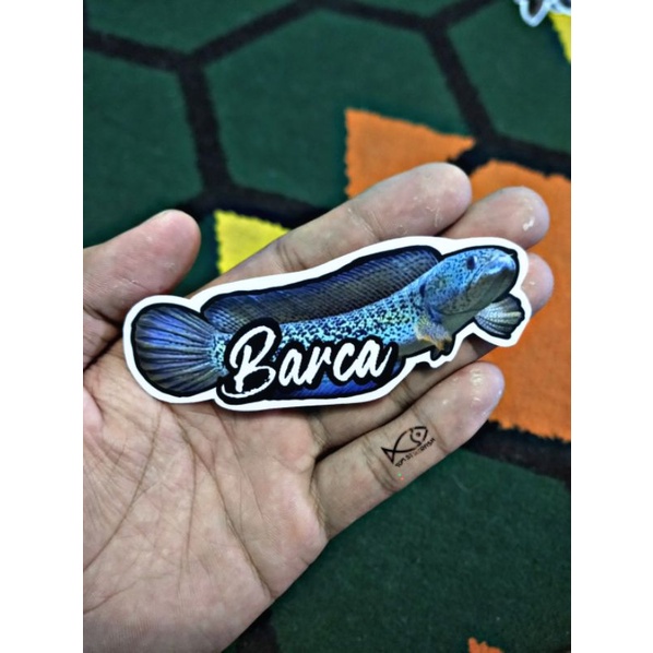 Stiker Channa Barca | Barca