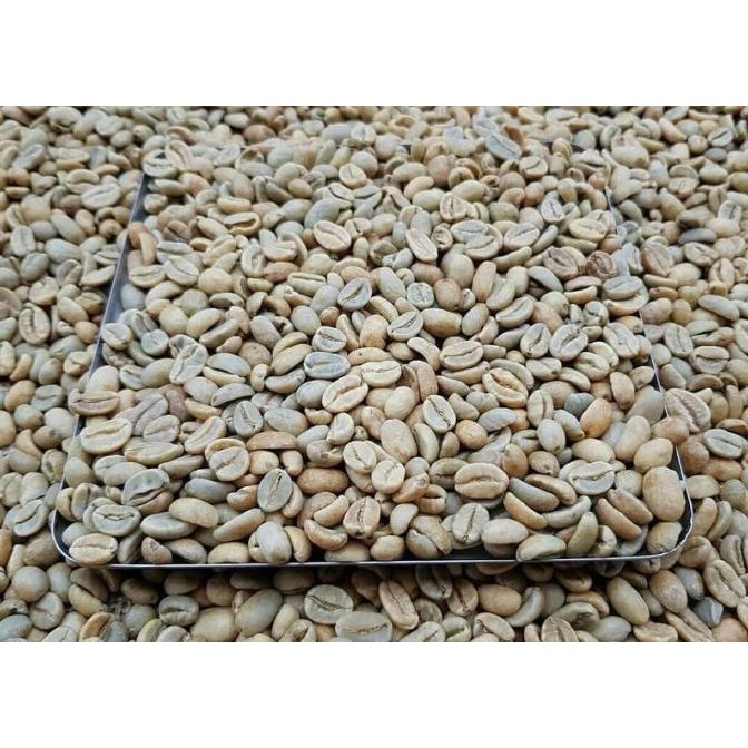 

Kopi Gayo Green Bean Arabika Natural 1 Kg